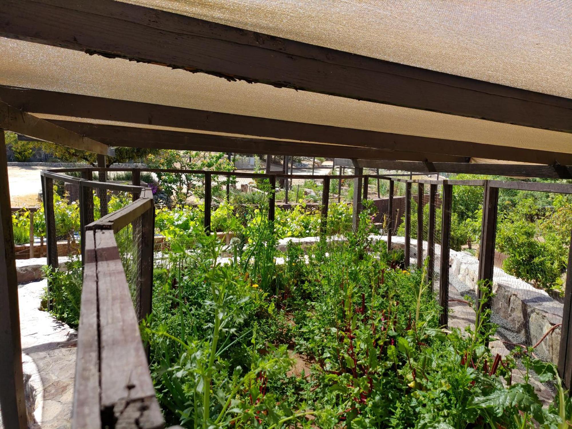 Villa Hacienda Eco-Domes Valle de Guadalupe Esterno foto