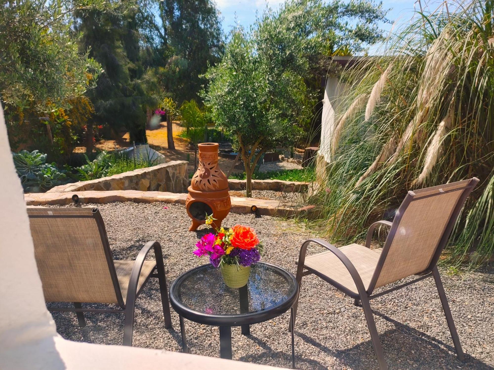 Villa Hacienda Eco-Domes Valle de Guadalupe Esterno foto