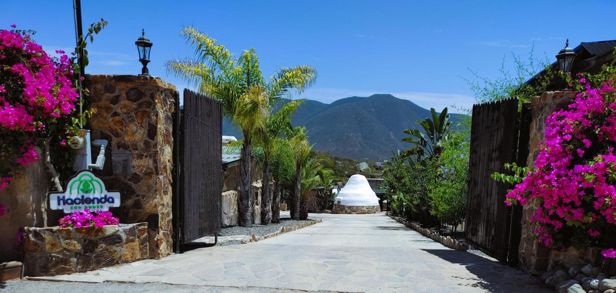 Villa Hacienda Eco-Domes Valle de Guadalupe Esterno foto
